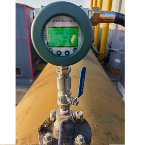Биогаз шығынын өлшегіш